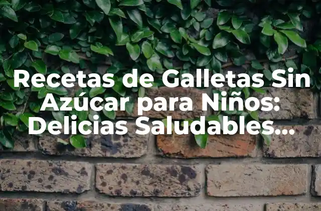 Recetas de Galletas sin Azúcar para Niños: Delicias Saludables para la Familia