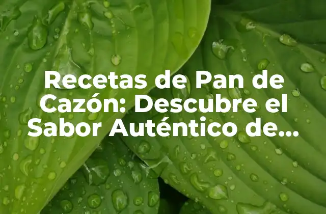 Recetas de Pan de Cazón: Descubre el Sabor Auténtico de Yucatán