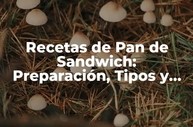 Recetas de Pan de Sandwich: Preparación, Tipos y Consejos