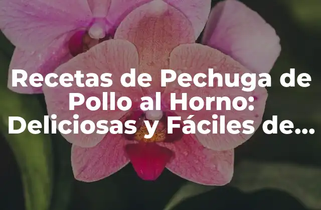 Recetas de Pechuga de Pollo Al Horno: Deliciosas y Fáciles de Preparar