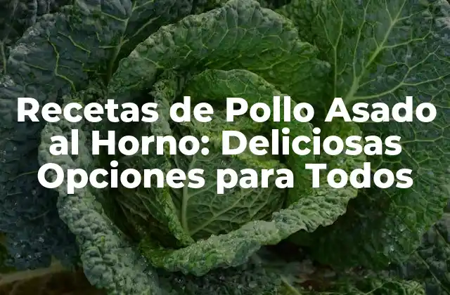 Recetas de Pollo Asado Al Horno: Deliciosas Opciones para Todos