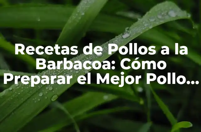 Recetas de Pollos a la Barbacoa: Cómo Preparar el Mejor Pollo Asado