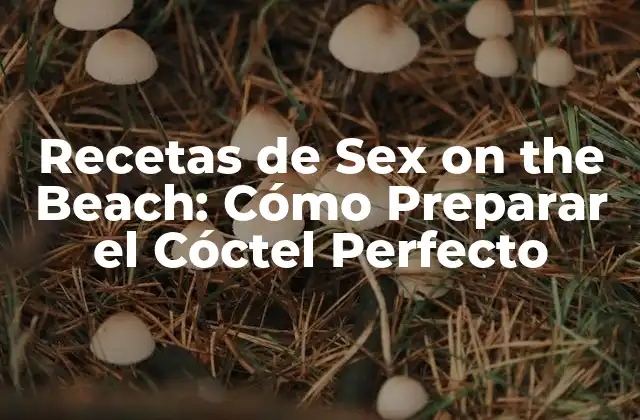 Recetas de Sex On The Beach: Cómo Preparar el Cóctel Perfecto