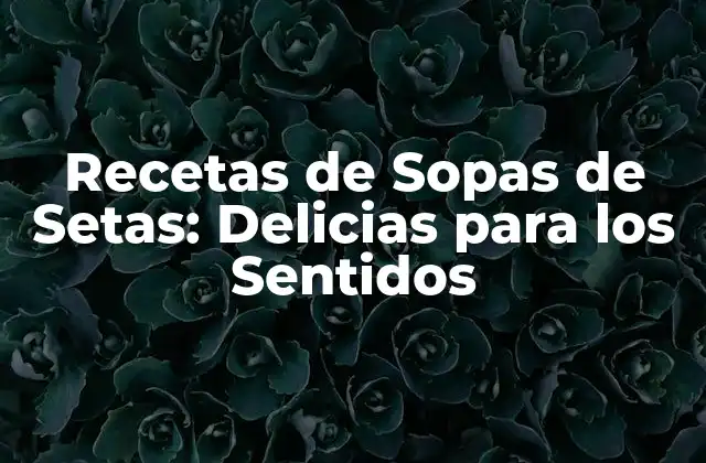 Recetas de Sopas de Setas: Delicias para los Sentidos