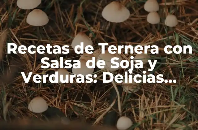 Recetas de Ternera con Salsa de Soja y Verduras: Delicias Asiáticas en Casa