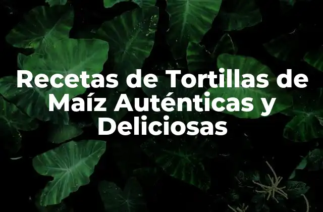 Recetas de Tortillas de Maíz Auténticas y Deliciosas