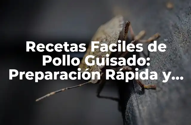 Recetas Faciles de Pollo Guisado: Preparación Rápida y Deliciosa