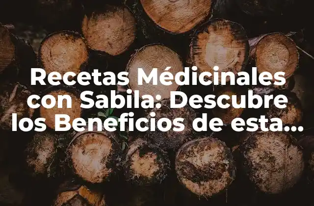 Recetas Médicinales con Sabila: Descubre los Beneficios de Esta Planta Milagrosa