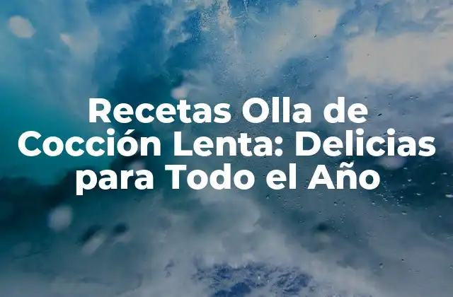 Recetas Olla de Cocción Lenta: Delicias para Todo el Año