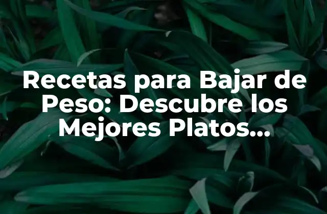 Recetas para Bajar de Peso: Descubre los Mejores Platos Saludables para una Figura Ideal