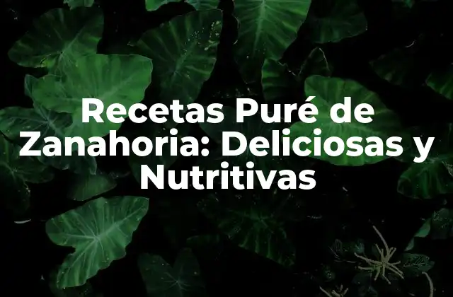 Recetas Puré de Zanahoria: Deliciosas y Nutritivas
