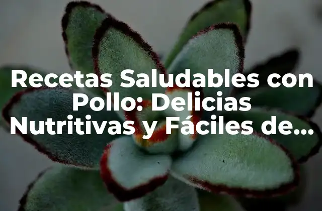 Recetas Saludables con Pollo: Delicias Nutritivas y Fáciles de Preparar