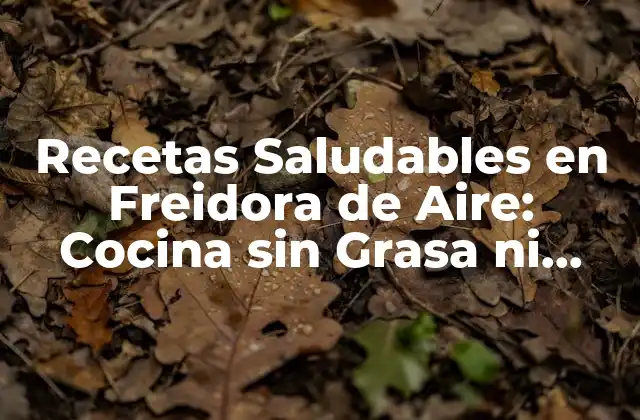 Recetas Saludables en Freidora de Aire: Cocina sin Grasa ni Calorías