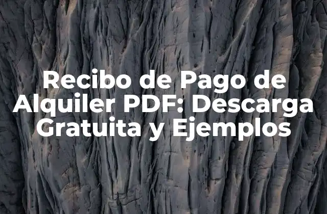 Recibo de Pago de Alquiler Pdf: Descarga Gratuita y Ejemplos
