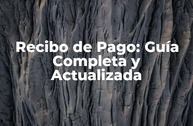 Recibo de Pago: Guía Completa y Actualizada