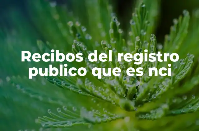 Recibos Del Registro Publico que es Nci