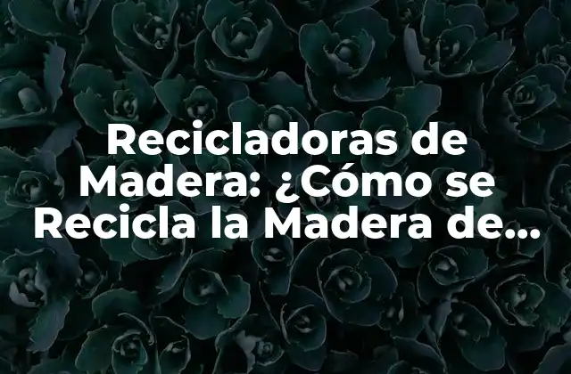 Recicladoras de Madera: ¿cómo Se Recicla la Madera de Forma Sostenible?