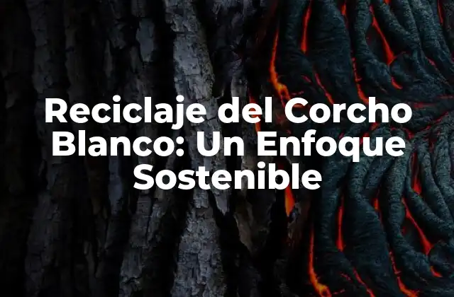Reciclaje Del Corcho Blanco: un Enfoque Sostenible