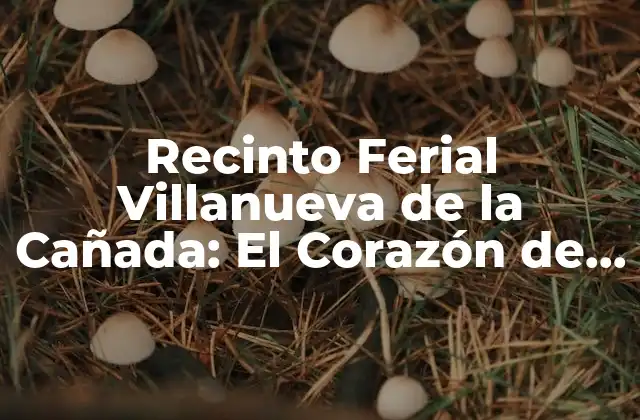 Recinto Ferial Villanueva de la Cañada: el Corazón de la Feria Comercial