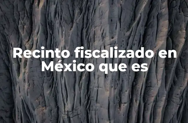 Recinto Fiscalizado en México que es