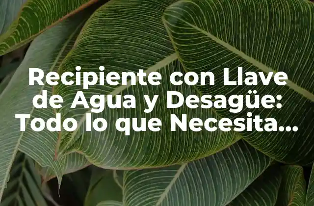Recipiente con Llave de Agua y Desagüe: Todo Lo que Necesita Saber