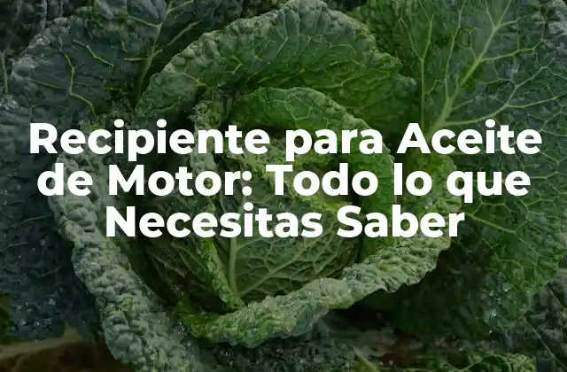 Recipiente para Aceite de Motor: Todo Lo que Necesitas Saber