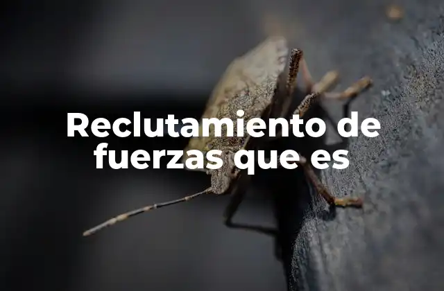 Reclutamiento de Fuerzas que es