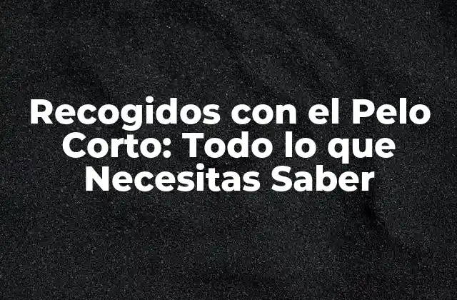 Recogidos con el Pelo Corto: Todo Lo que Necesitas Saber 2 Ventajas de los Recogidos con el Pelo Corto