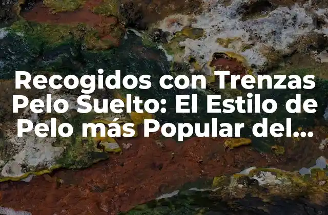Recogidos con Trenzas Pelo Suelto: el Estilo de Pelo Más Popular Del Momento