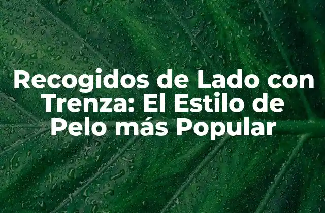 Recogidos de Lado con Trenza: el Estilo de Pelo Más Popular