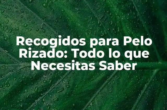 Recogidos para Pelo Rizado: Todo Lo que Necesitas Saber 2 Ventajas de los Recogidos para Pelo Rizado
