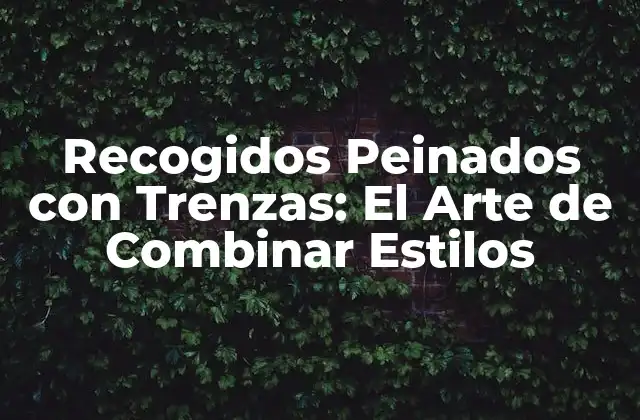 Recogidos Peinados con Trenzas: el Arte de Combinar Estilos 2 Beneficios de los Recogidos Peinados con Trenzas
