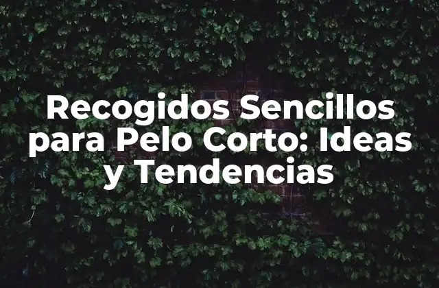 Recogidos Sencillos para Pelo Corto: Ideas y Tendencias