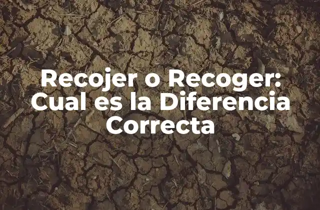 Recojer o Recoger: Cual es la Diferencia Correcta