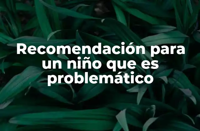 Recomendación para un Niño que es Problemático