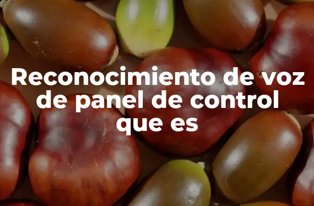Reconocimiento de Voz de Panel de Control que es