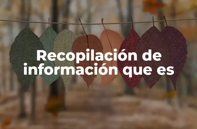 Recopilación de Información que es
