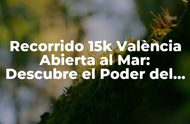 Recorrido 15k València Abierta Al Mar: Descubre el Poder Del Running en la Ciudad Del Turia