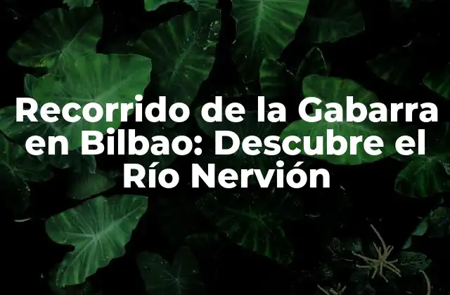 Recorrido de la Gabarra en Bilbao: Descubre el Río Nervión