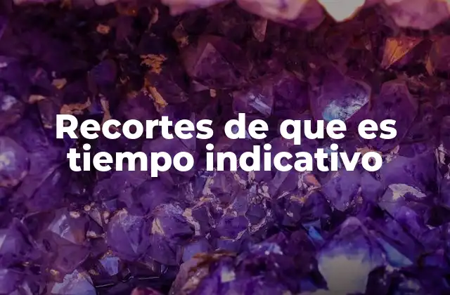 Recortes de que es Tiempo Indicativo