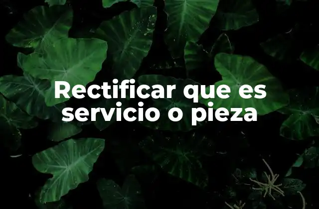 Rectificar que es Servicio o Pieza