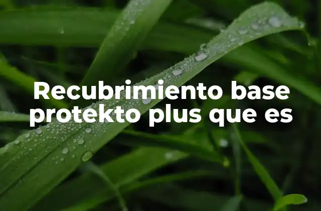Recubrimiento Base Protekto Plus que es