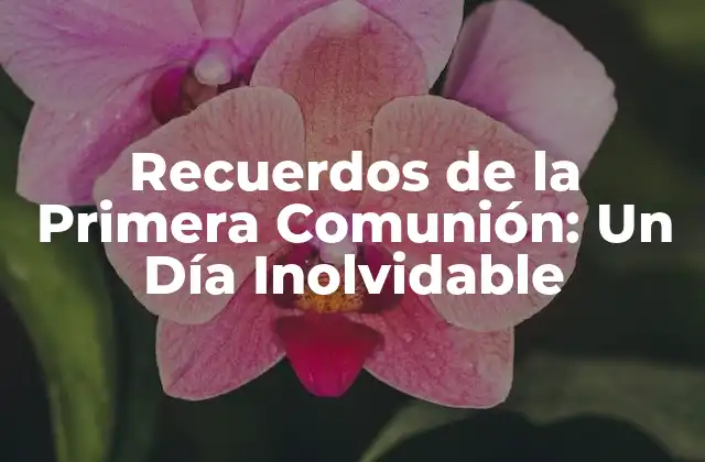 Recuerdos de la Primera Comunión: un Día Inolvidable