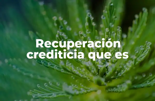 Recuperación Crediticia que es