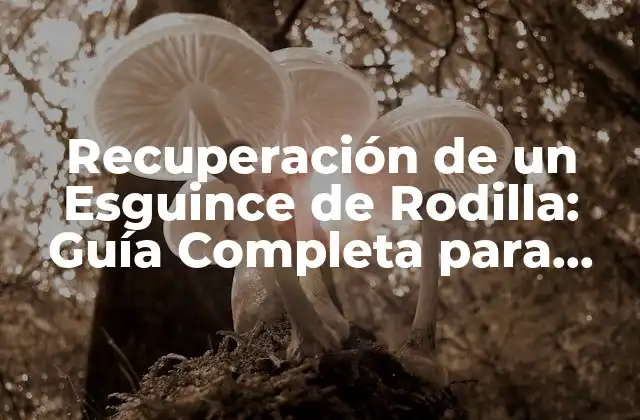Recuperación de un Esguince de Rodilla: Guía Completa para una Pronta Recuperación
