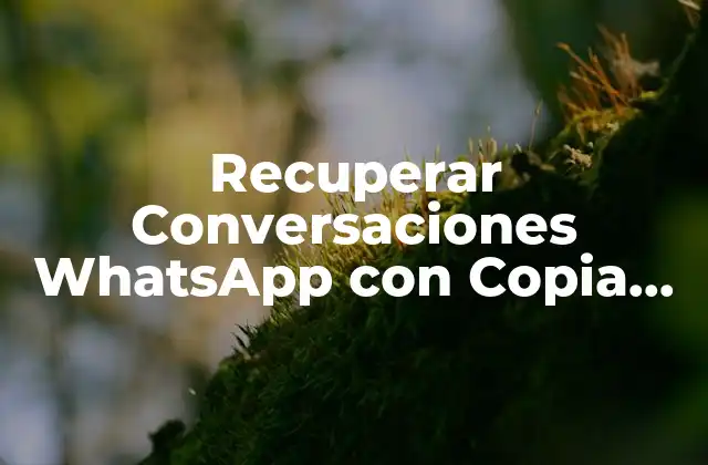 Recuperar Conversaciones Whatsapp con Copia de Seguridad – Guía Completa