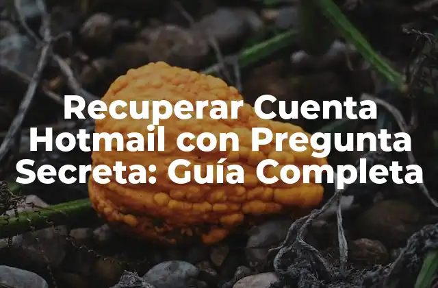 Recuperar Cuenta Hotmail con Pregunta Secreta: Guía Completa 2 ¿Por qué es Importante Recuperar tu Cuenta Hotmail?