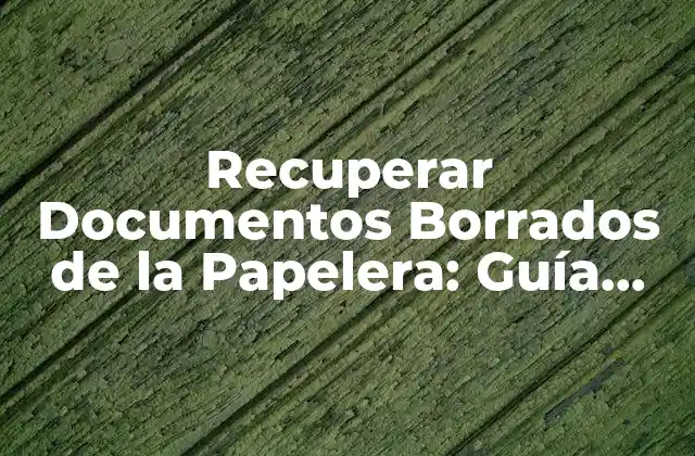 Recuperar Documentos Borrados de la Papelera: Guía Completa