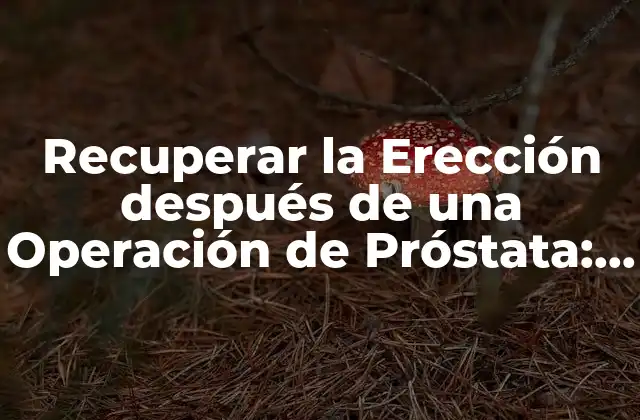 Recuperar la Erección Después de una Operación de Próstata: Todo Lo que Necesitas Saber