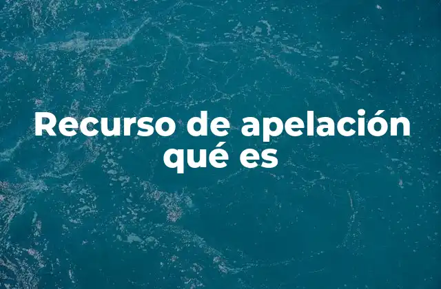 Recurso de Apelación Qué es